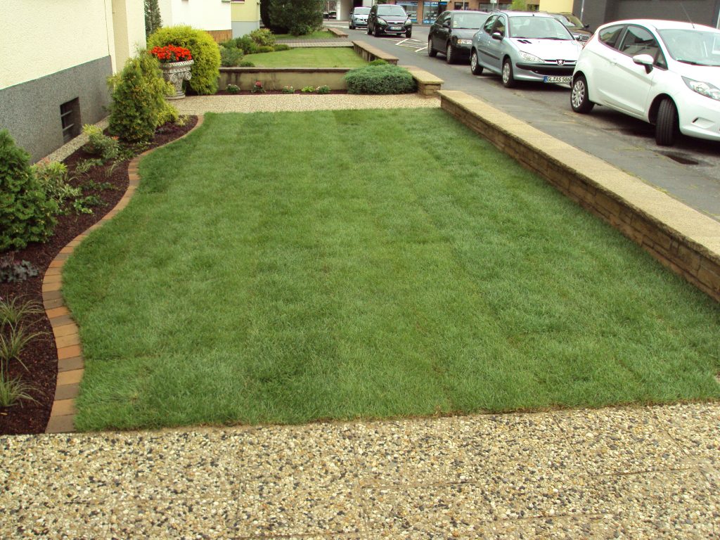 DSC00409 - GartenbauMertens